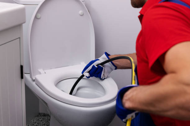 Best Local Plumber Services  in Cortez, FL