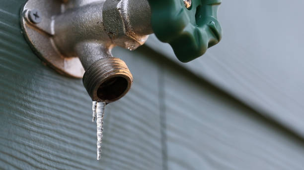Best Septic Systems  in Cortez, FL